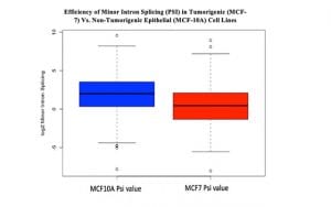 Computational analysis of minor intron splicing in breast cancer